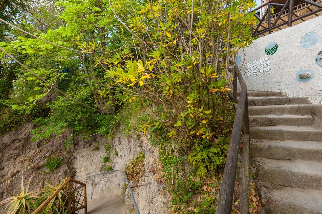 Nitrodi Experience Casa de hóspedes Barano dʼIschia Exterior foto