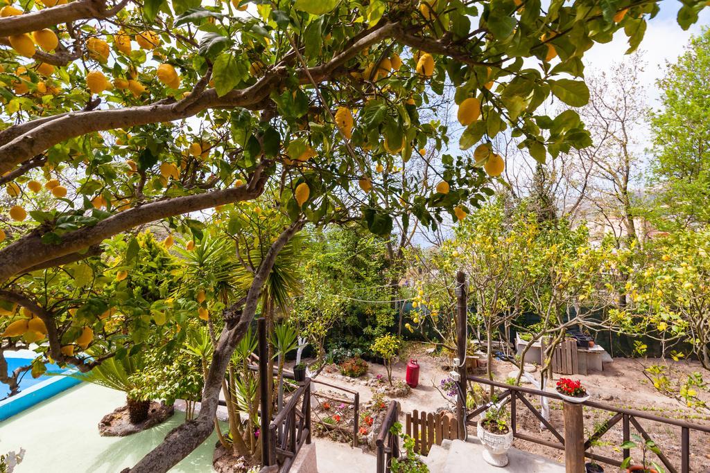 Nitrodi Experience Casa de hóspedes Barano dʼIschia Exterior foto
