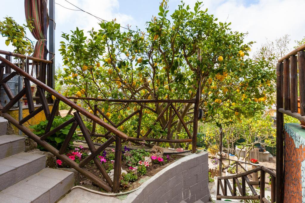 Nitrodi Experience Casa de hóspedes Barano dʼIschia Exterior foto