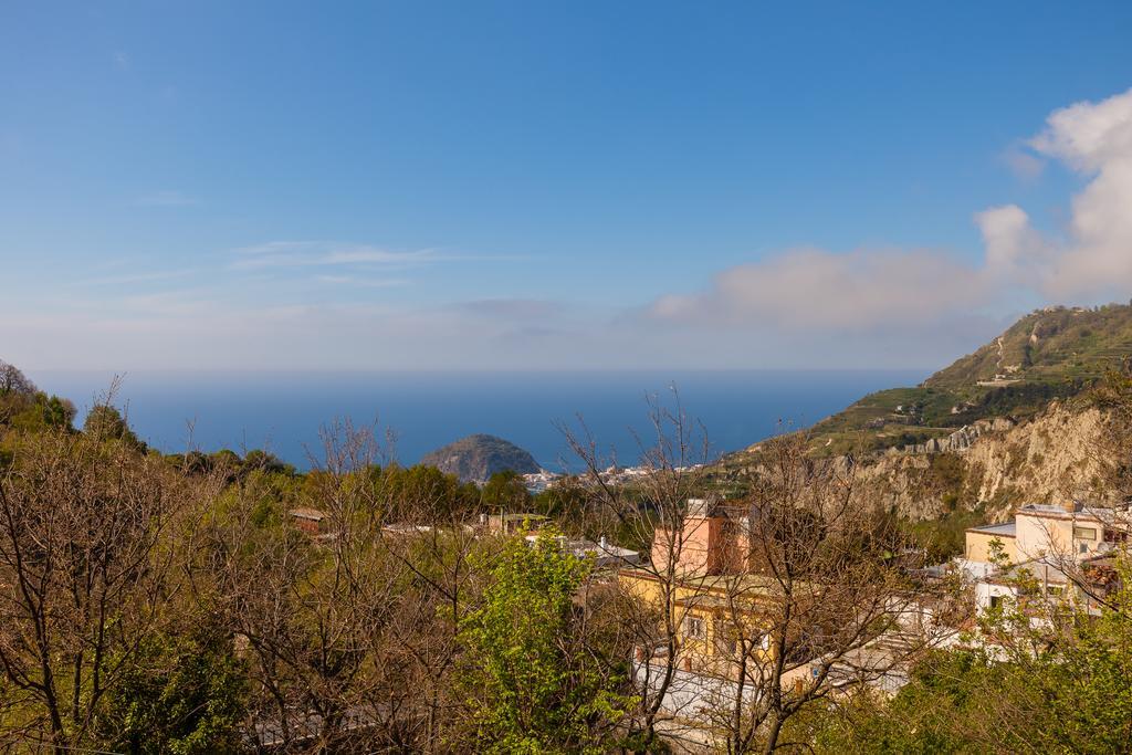 Nitrodi Experience Casa de hóspedes Barano dʼIschia Exterior foto